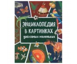 Книга 978-5-353-09911-6 Энциклопедия в картинках для самых маленьких 