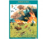 Книга 978-5-43152-707-4 Пожар в лесу