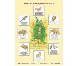 Плакат 978-5-43150-638-3 Кому нужны деревья в лесу