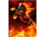 Набор для творчества Роспись по холсту 30х40 см Огненный конь ХК-6836